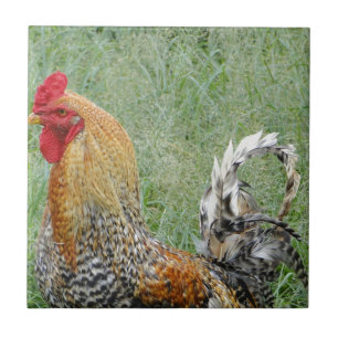 Roosters Ceramic Tile