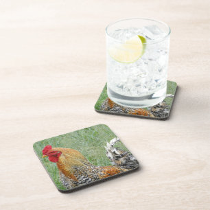 Roosters Coaster