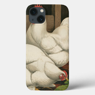 Roosters & Hen outside Hen House with White Border iPhone 13 Case