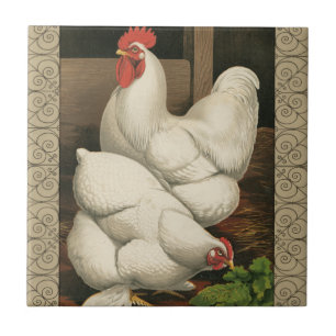 Roosters & Hen outside Hen House with White Border Tile