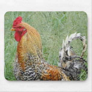 Roosters Mouse Pad