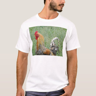 Roosters T-Shirt
