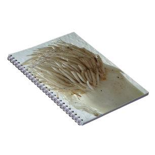 Root of Leek, Vegetables, Healthy Raw White Food Notebook