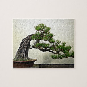 Root Over Rock Pine Bonsai Tree Jigsaw Puzzle
