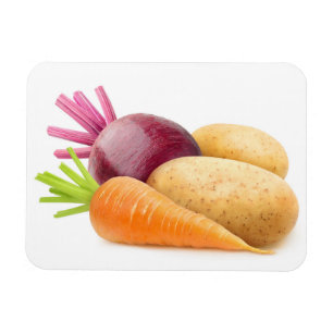 Root vegetables magnet