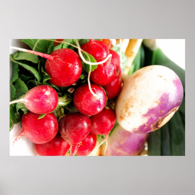 Root Vegetables Poster (Front)