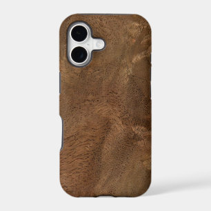 Root wood texture