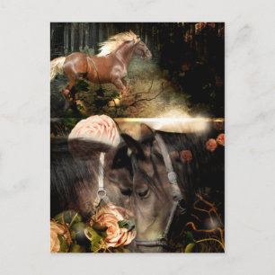 Rooted in God's Love Postcard