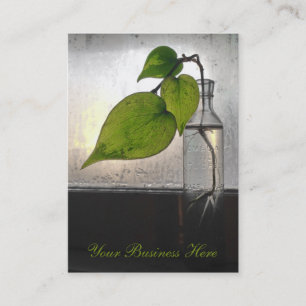 Rooting Plant in a Antique Clear Glass Bottle Business Card