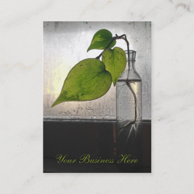 Rooting Plant in a Antique Clear Glass Bottle Business Card (Front)
