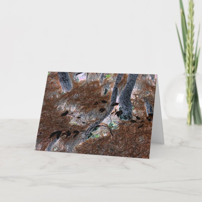 "Roots" Gnarled Trees, Pine Needles, Forest Floor Card (Front)
