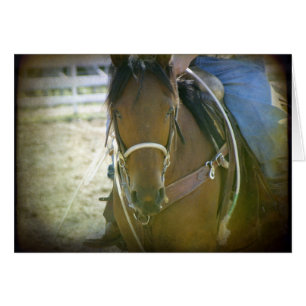 Roping Horse
