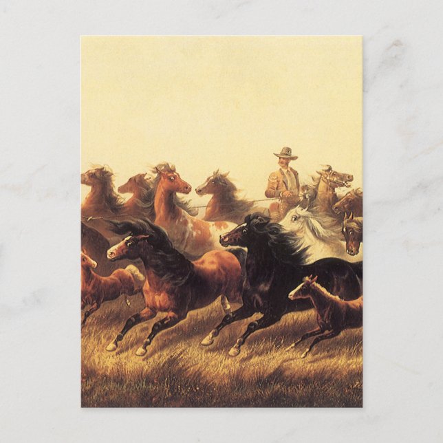 Roping Wild Horses by James Walker Postcard (Front)