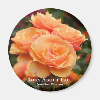 Rosa About Face Magnet