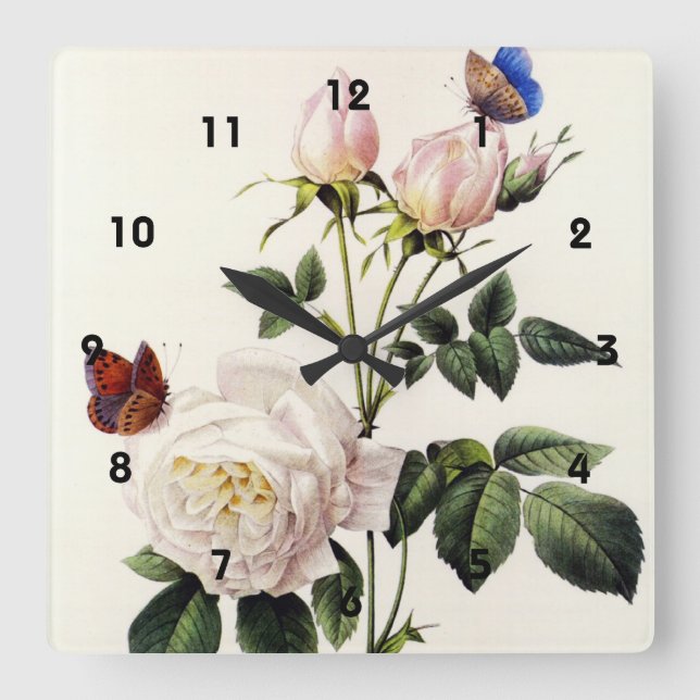 Rosa Bengale - Pierre Joseph Redouté. Square Wall Clock (Front)