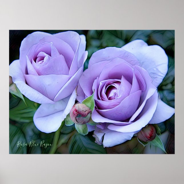 Rosa Blue Bajou [Archive Heavy Weight Paper] Poster (Front)