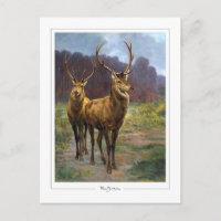 Rosa Bonheur #57 - Fine Art