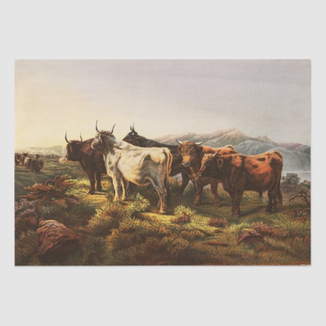 Rosa Bonheur | Morning After - Morning in Highland Tissue Paper (Front)