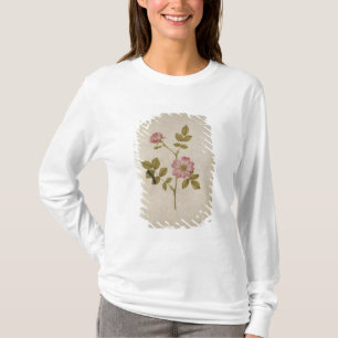 Rosa Canina - Dogrose and Caterpillar (pencil & w/ T-Shirt
