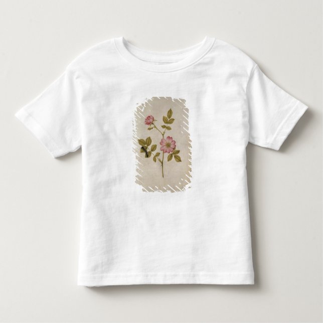 Rosa Canina - Dogrose and Caterpillar (pencil & w/ Toddler T-Shirt (Front)
