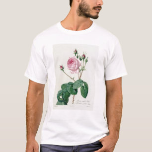 Rosa Centifolia Bullata T-Shirt