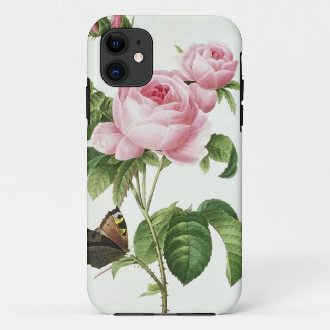 Rosa Centifolia Case-Mate iPhone Case (Back)