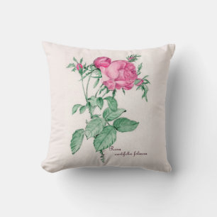 Rosa Centifolia Foliacea Cushion