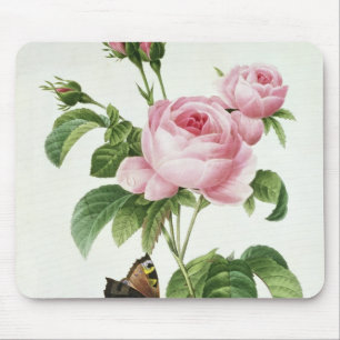 Rosa Centifolia Mouse Pad