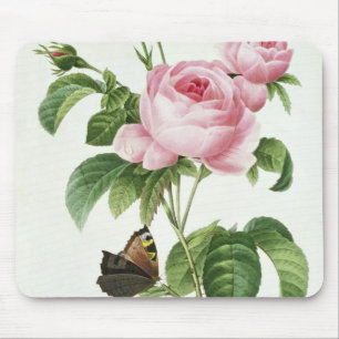 Rosa Centifolia Mouse Pad