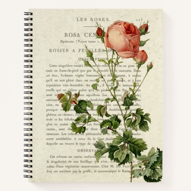 Rosa centifolia Notebook II (Front)