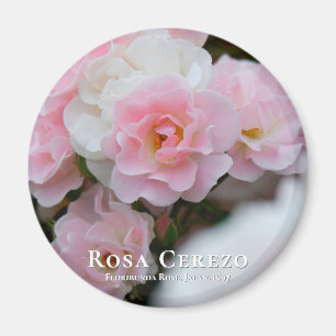 Rosa Cerezo マグネット Magnet