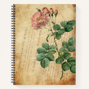 Rosa Damascena Aurora Notebook