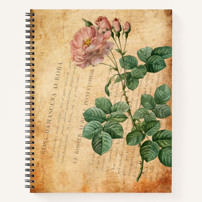 Rosa Damascena Aurora Notebook (Front)