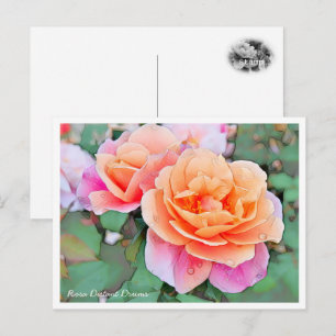 Rosa Distant Drums Postcard
