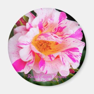 Rosa Edgar Degas [Round Magnet] Magnet