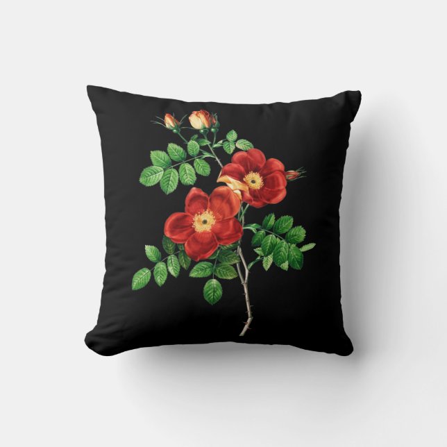 Rosa Eglanteria Cushion (Front)