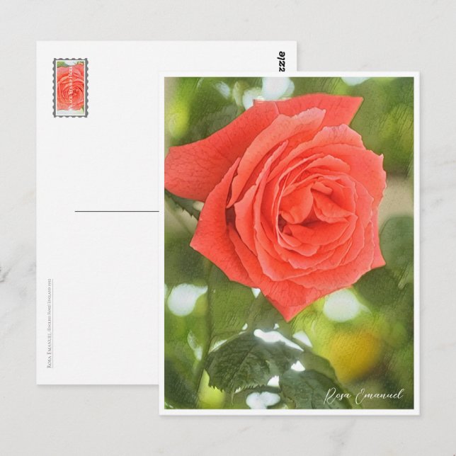 Rosa Emanuel Postcard (Front/Back)
