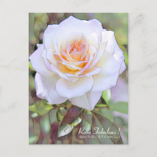Rosa Fabulous! [Postcard] Postcard