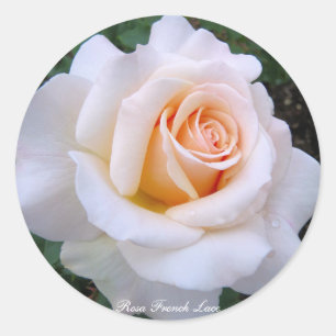 Rosa French Lace：Round Seal