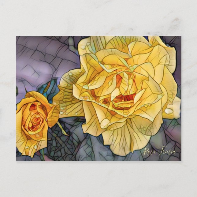 Rosa Friesia [Postcard] Postcard (Front)