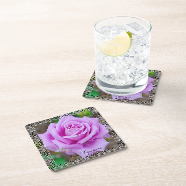 Rosa 'Fujimusume' [Paper Coaster] Square Paper Coaster (Insitu)