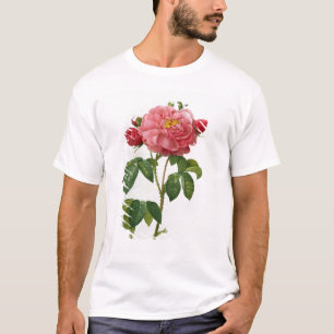 Rosa Gallica Aurelianensis T-Shirt