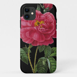 Rosa Gallica iPhone 11 Case