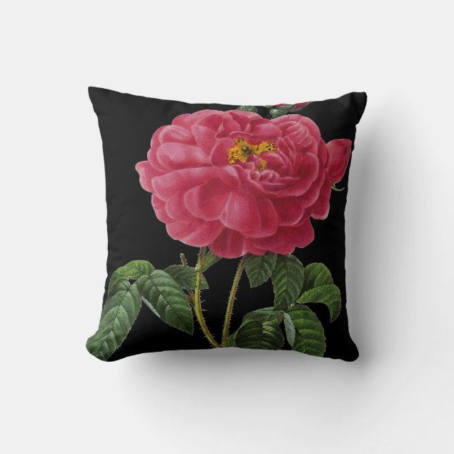 Rosa Gallica Cushion (Front)