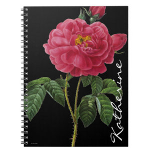 Rosa Gallica Notebook
