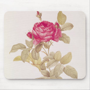 Rosa Gallica Pontiana, from 'Les Roses' Mouse Pad