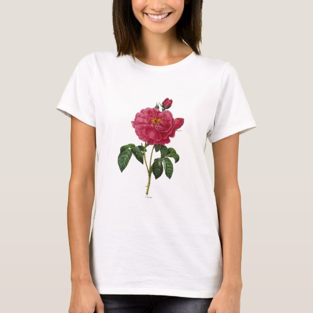 Rosa Gallica T-Shirt (Front)
