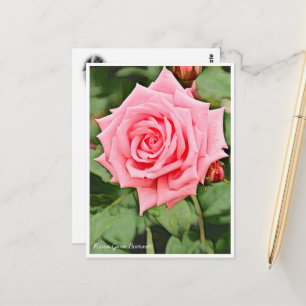 Rosa Gene Boerner Postcard