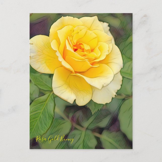 Rosa Gold Bunny [Postcard] Postcard (Front)