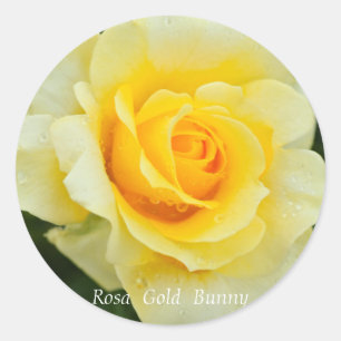 Rosa Gold Bunny [Round Seal] ラウンドシール Classic Round Sticker